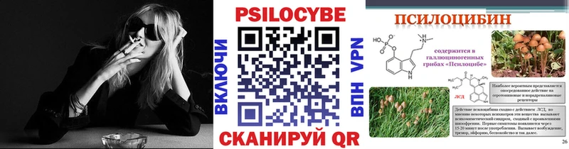 как найти наркотики  Тутаев  Псилоцибиновые грибы MAGIC MUSHROOMS 